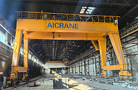 overhead gantry crane
